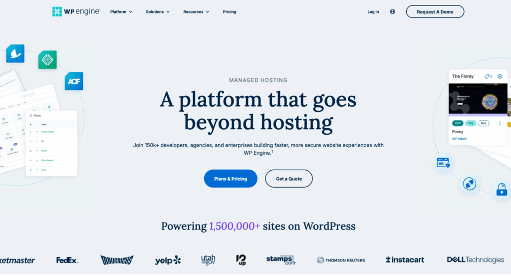 WP-Engine-Erfahrung